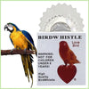 Discreet Bird Call Whistle for Realistic Sound Effects