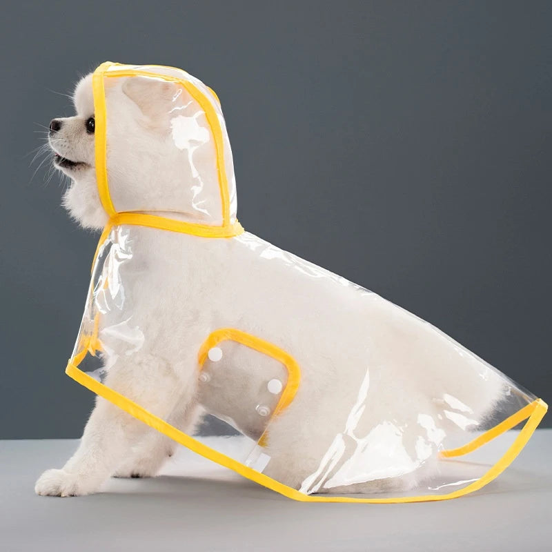 A light-colored dog is wearing a transparent raincoat with a yellow trim and hood.