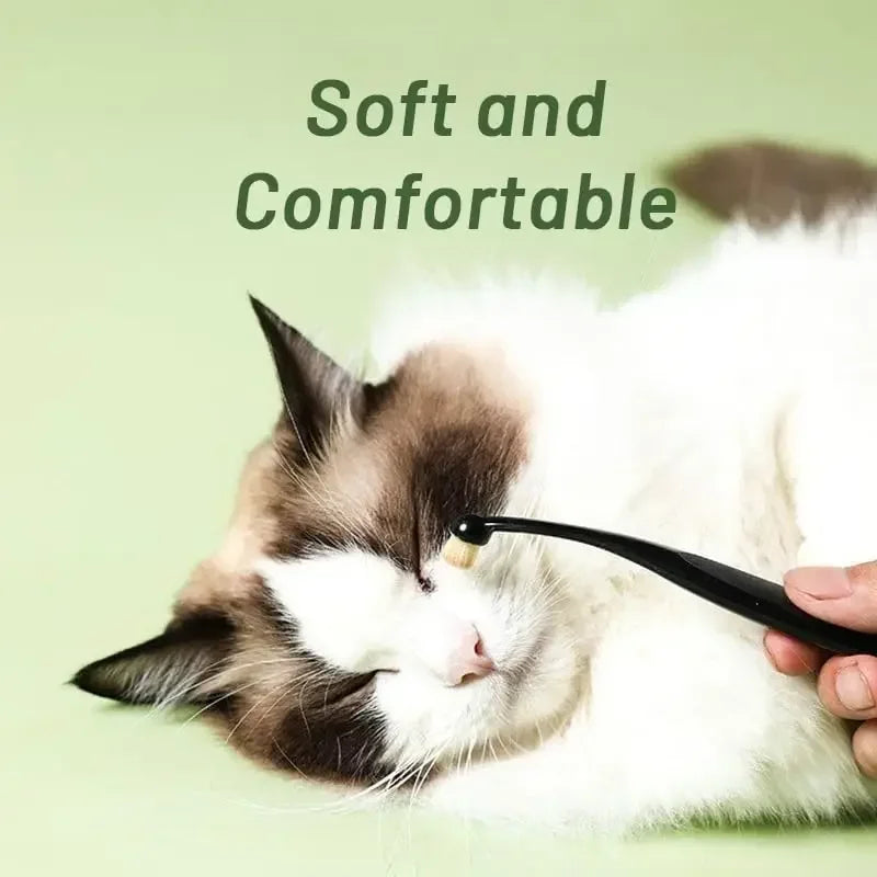 A white and gray cat is being groomed with a black brush for pet tear stain removal.