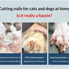 Quiet Electric Pet Nail Grinder for Dogs and Cats