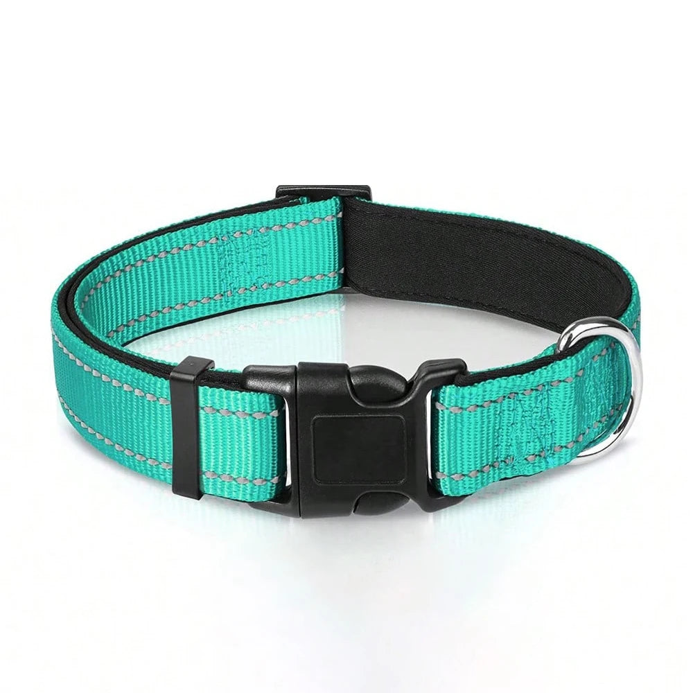 A black padded dog collar with bright teal safety stripes and a silver buckle.