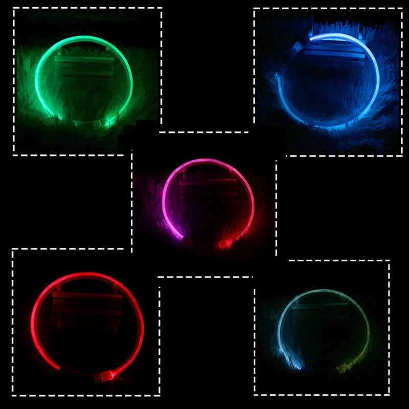 Rechargeable LED Dog Collar with USB Charging