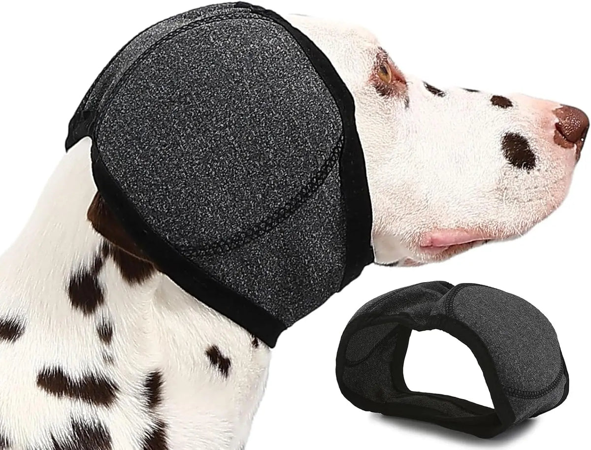 A dog wearing a black adjustable ear cover for noise relief and calming.