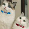 Heart-Shaped Velvet Cat Collar with Bell