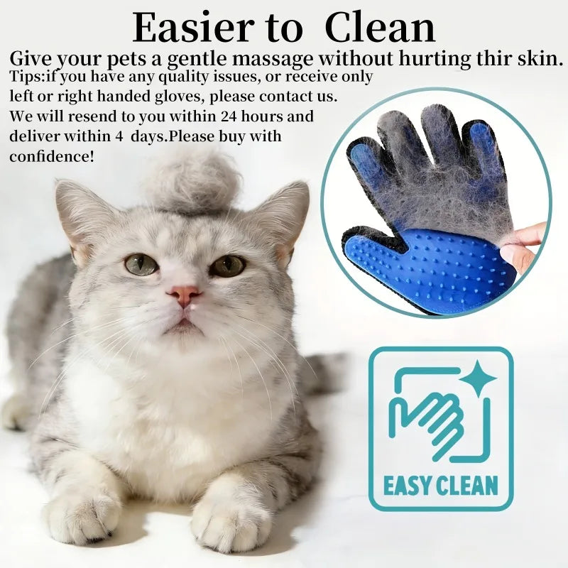 A fluffy gray cat is looking at a blue pet massage glove with a textured surface.