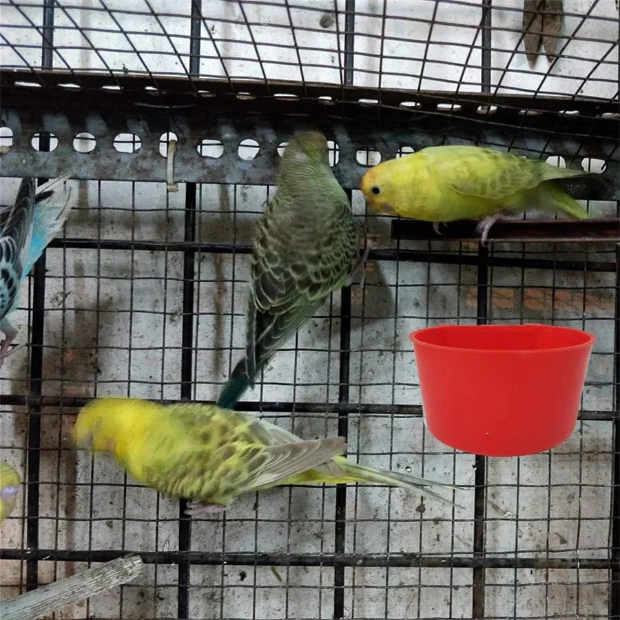Hanging Feeder Cups for Poultry with Hook