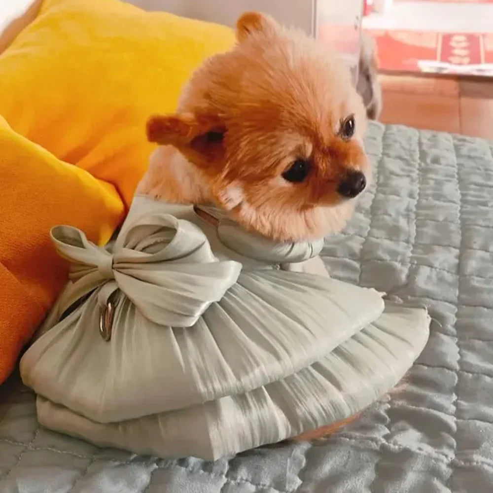 Ein flauschiger oranger Welpe in einem hellbeigen gerafften Kleid liegt auf einer grauen strukturierten Oberfläche.