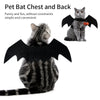 A fluffy gray cat wearing a black bat chest and back costume with wings and a pumpkin bell.