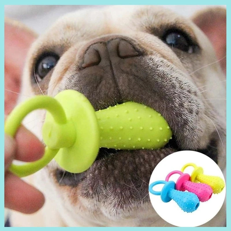 A light brown dog holds a bright green rubber pacifier chew toy with a textured surface.