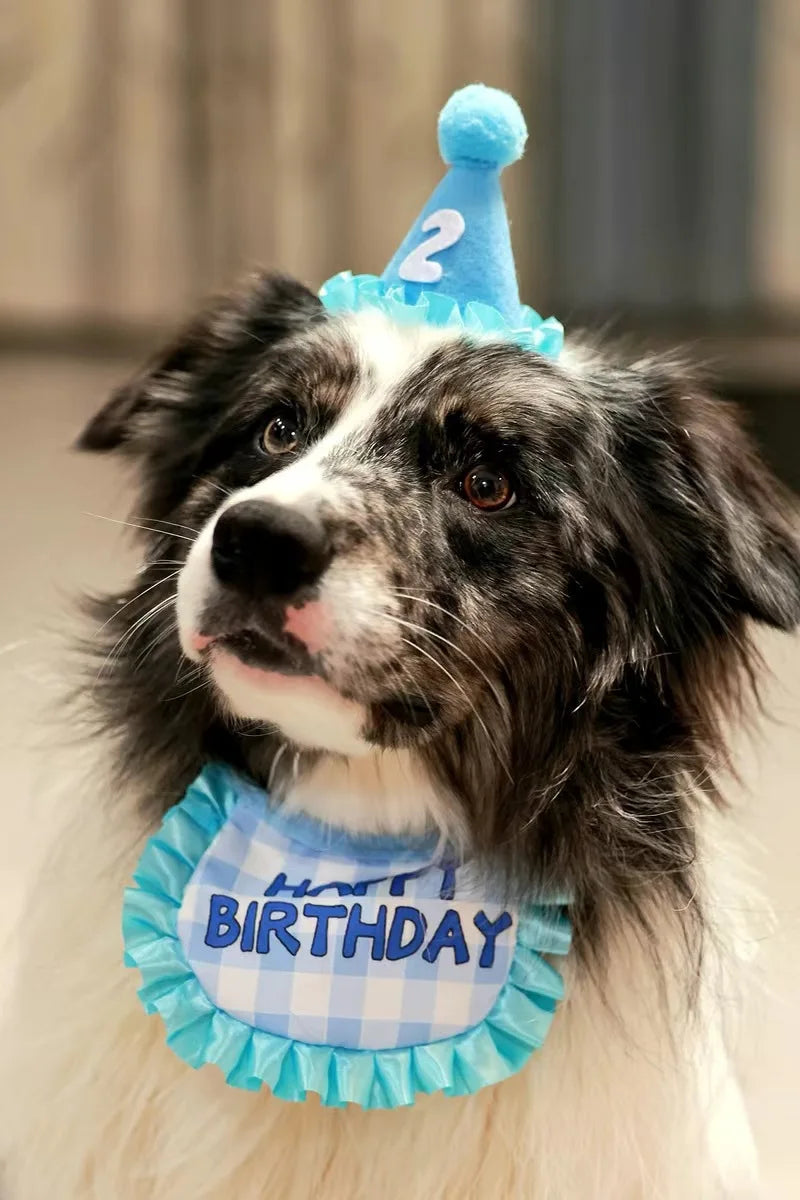 Happy Birthday Pet Party Hat and Bib Set