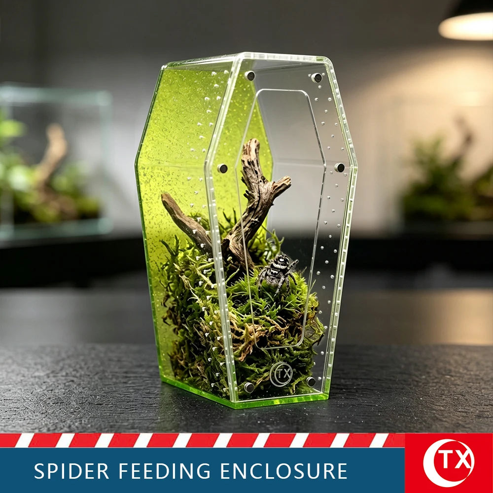A clear acrylic spider feeding enclosure with a green tint, containing moss and natural elements.