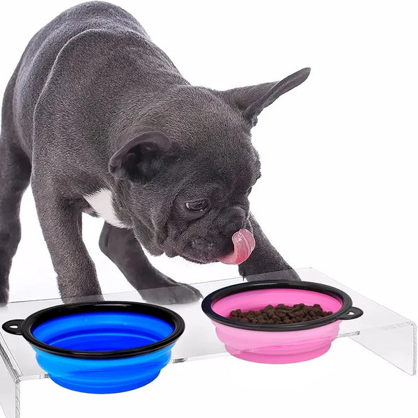 Folding Portable Silicone Dog Feeder Bowl 2-in-1 Travel Dispenser