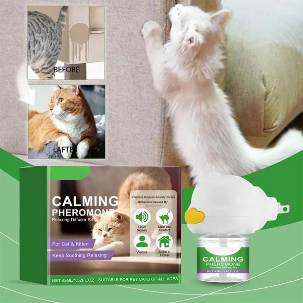 A white fluffy cat is shown next to a diffuser kit for calming pheromone for cats