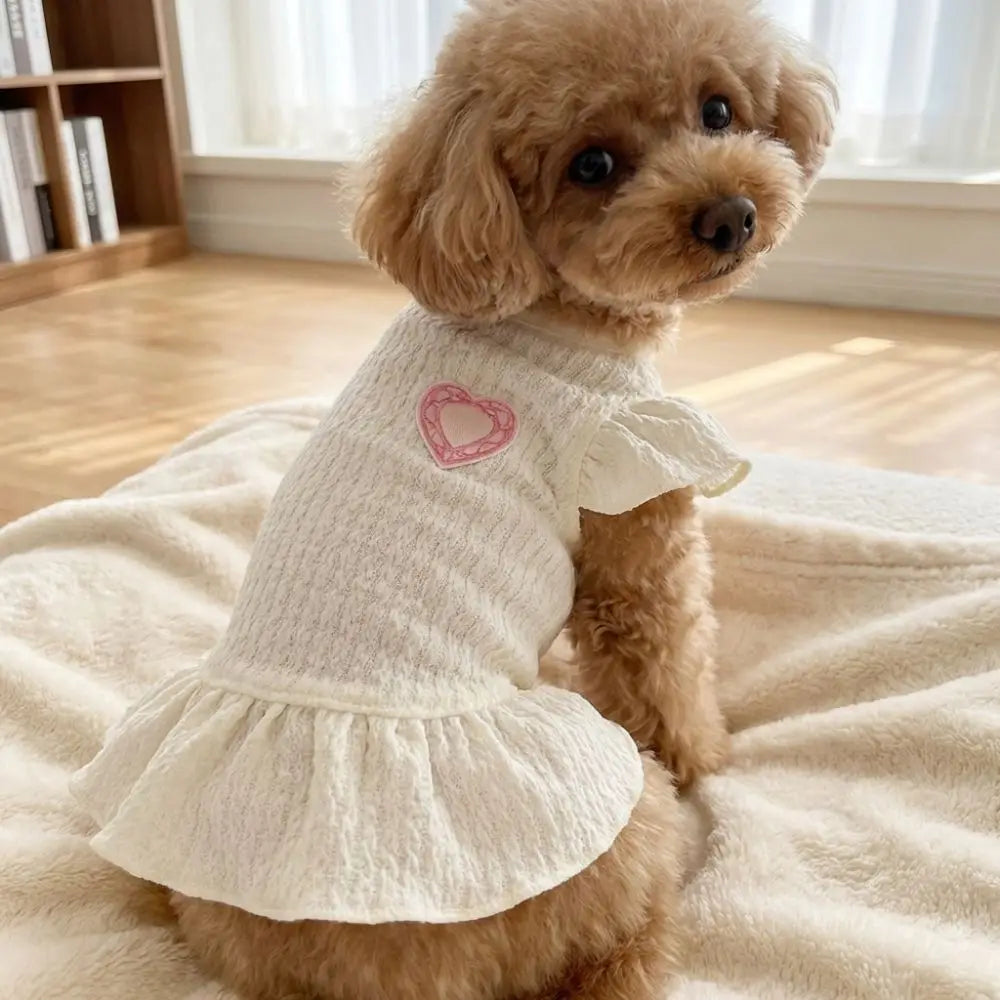 A light beige dog wearing a white dress with pink heart details and flutter sleeves, sitting on a cream blanket.
