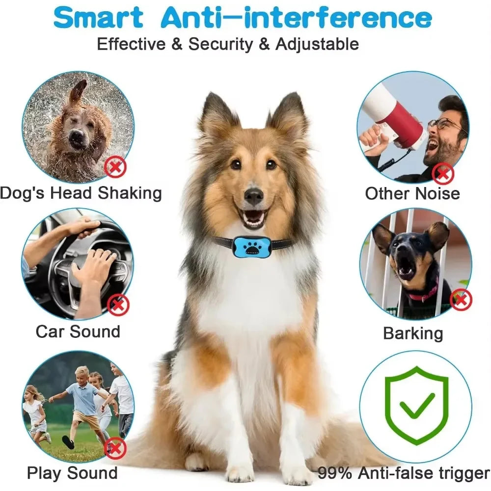 Rechargeable Waterproof Anti-Bark Training Collar for Dogs and Cats