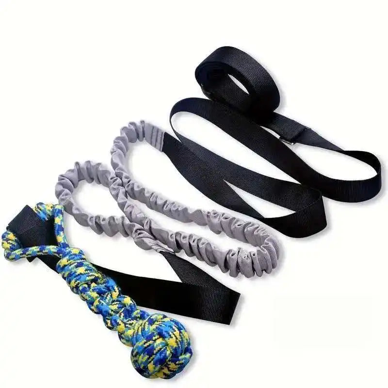 Interactive Bungee Tug Toy for Dogs