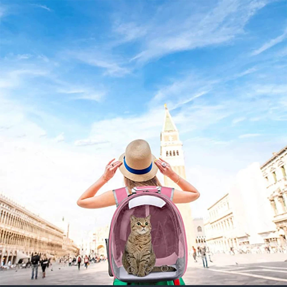 Una persona con sombrero de paja lleva una mochila transportadora transparente con un gato en una plaza de la ciudad.