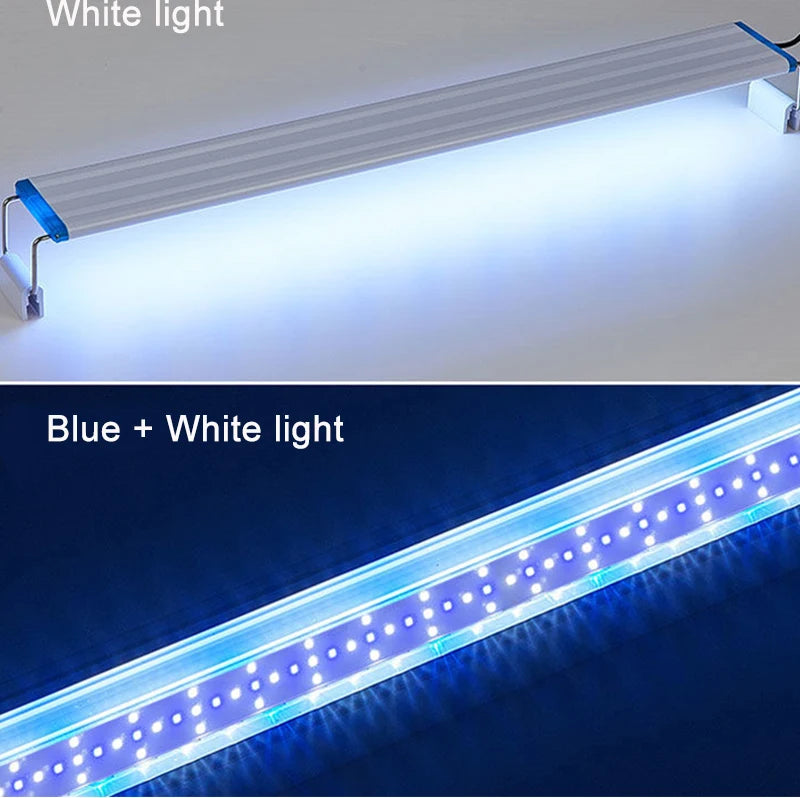 Lampe LED à clipser pour aquarium, profil fin