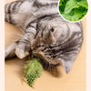 Juguete Interactivo para Gatos con Pájaro