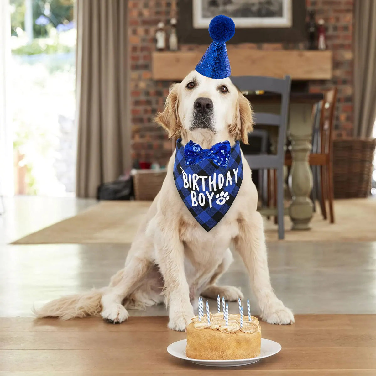 A golden retriever dog wearing a blue party hat, blue bandana, and bow tie sitting in front of a birthday cake.