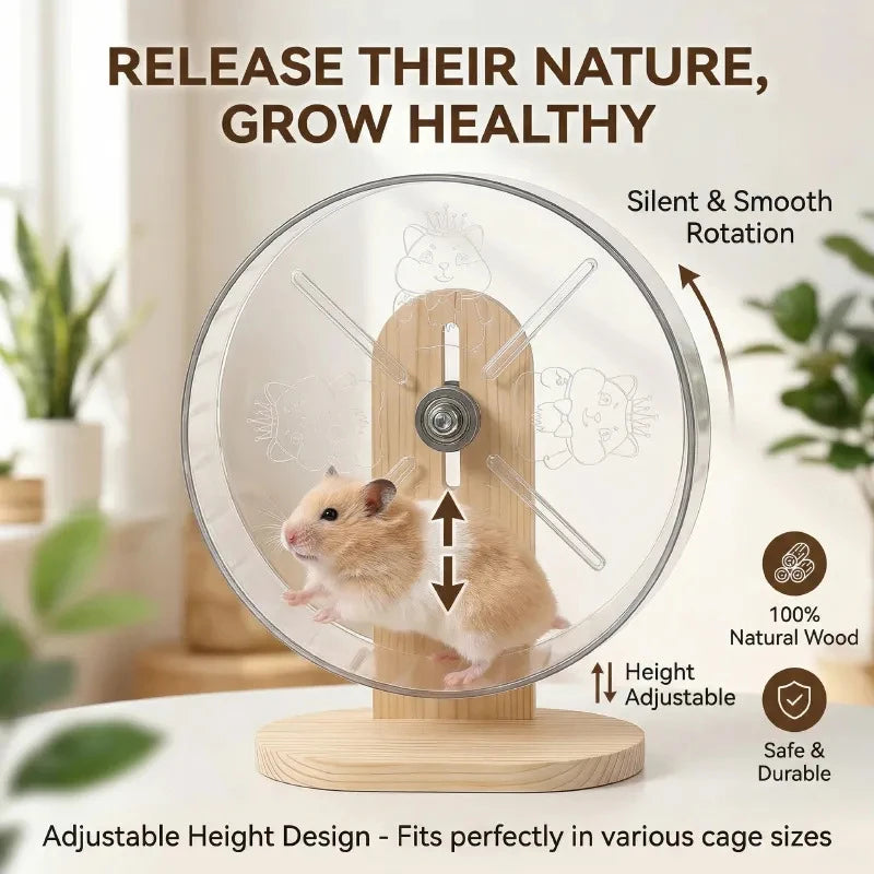 Silent Acrylic Hamster Running Wheel with Wooden Stand