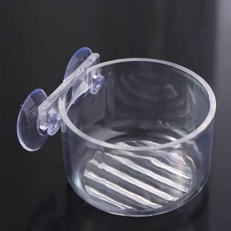 Support de Plantes Aquatiques en Acrylique Transparent