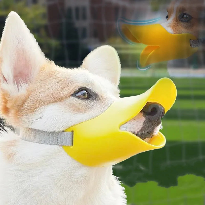 A light-colored dog is wearing a bright yellow silicone muzzle designed to prevent biting and barking.