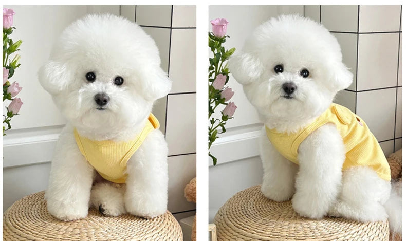 Chaleco Transpirable para Perros Pequeños