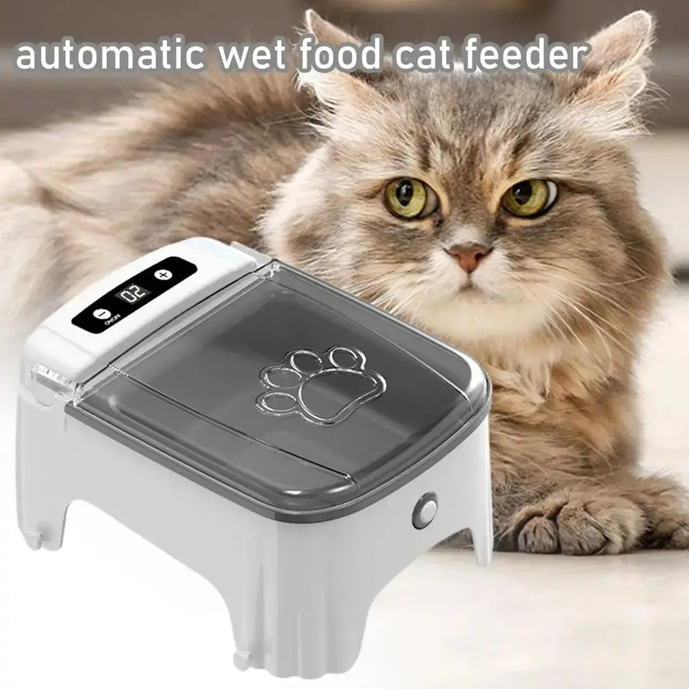 A fluffy tabby cat looks at an automatic wet food cat feeder device.