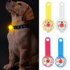 Collier de sécurité LED rechargeable par USB pour animaux