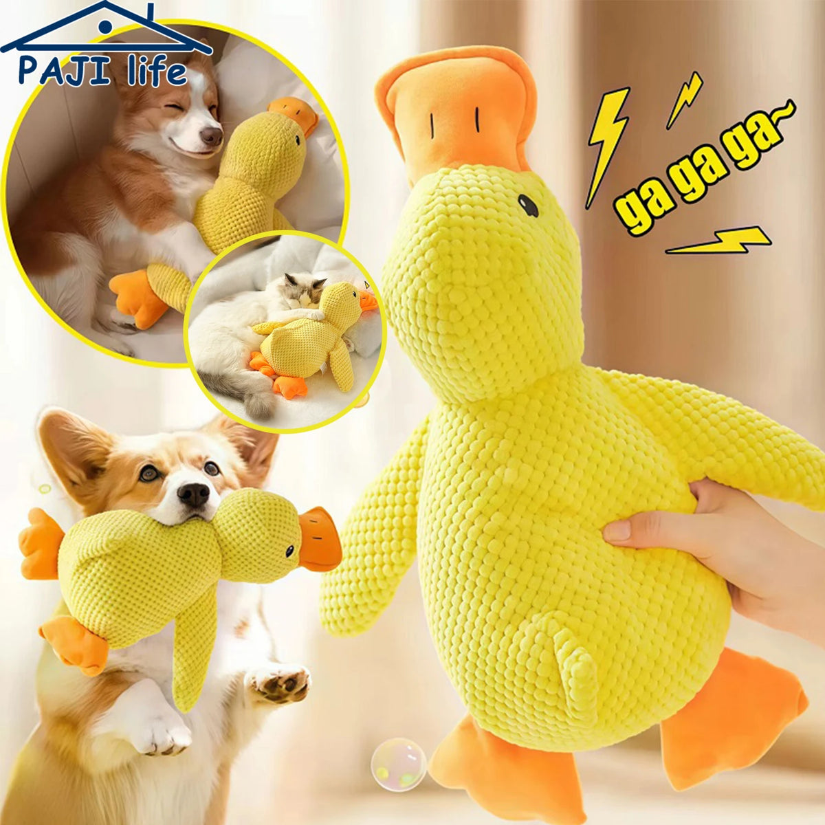 A yellow plush duck dog chew toy is shown next to a golden retriever, with smaller versions of the toy visible in inset photo