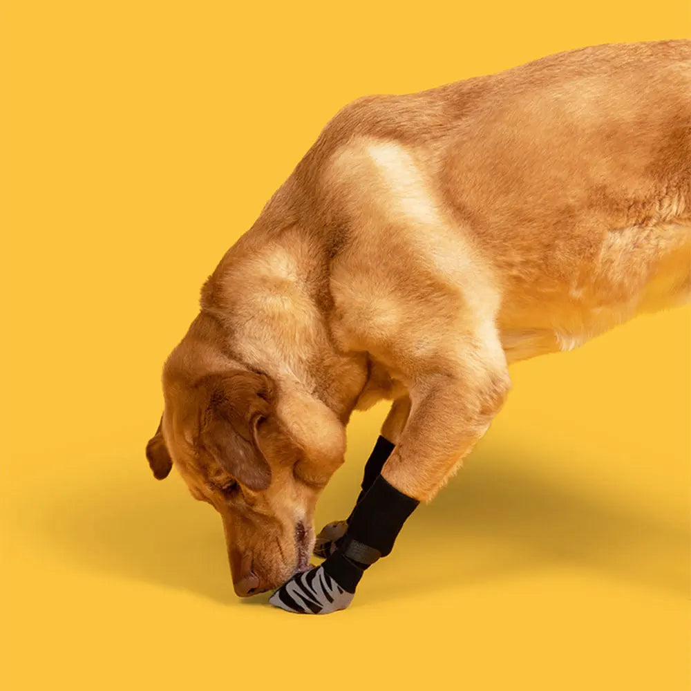 Anti-Slip Dog Socks for Hardwood Floors – Extra-Thick Grip, Protective Paw Wear