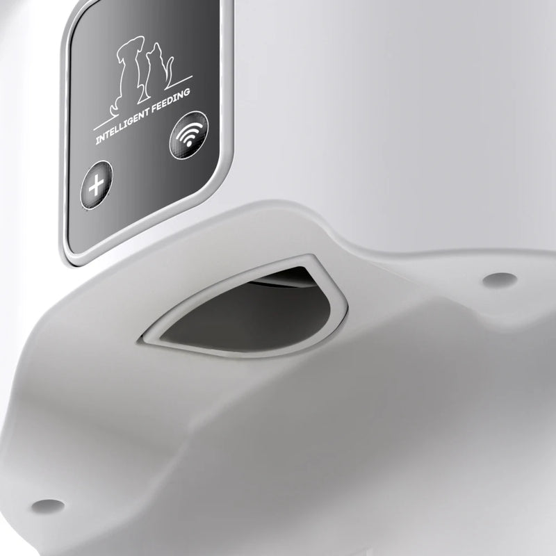 Dispensador automático de comida para mascotas con WiFi y capacidad de 4L