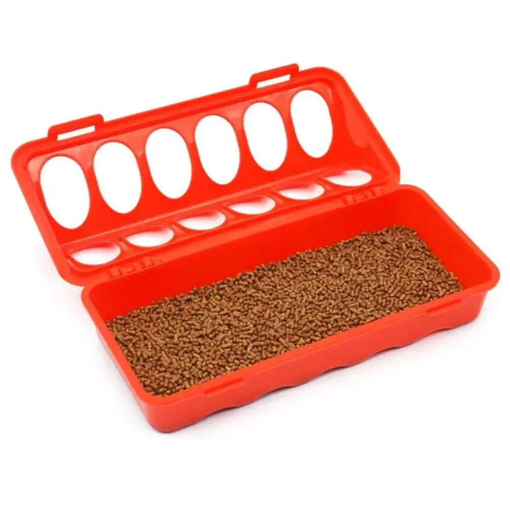 Orange double-sided 12-hole poultry feeder for quail, chicks, and small birds filled with brown feed.
