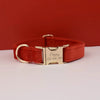 Personalisiertes Halsband, Geschirr & Leine Set mit abnehmbarem Fliegenknoten