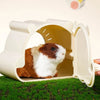 Cartoon Hamster Hideout House with Viewing Window