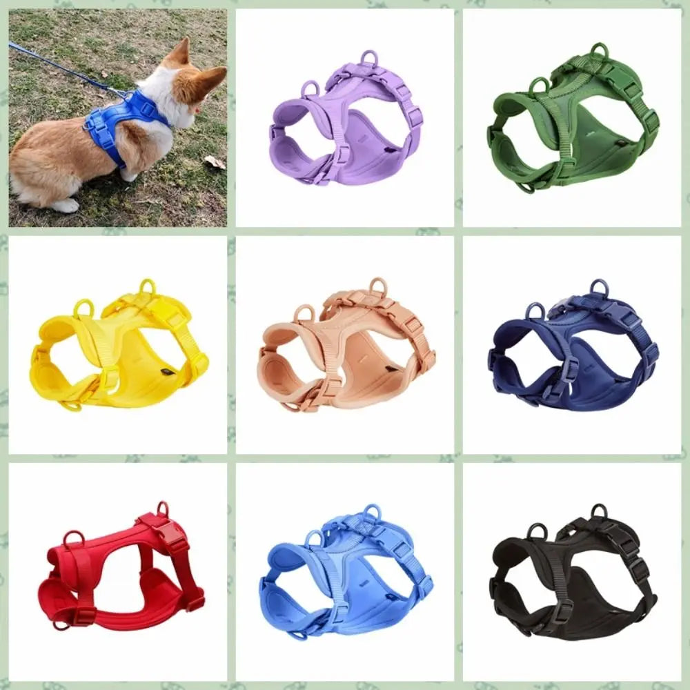 A collection of various colored reflective dog harnesses and vests for dogs.