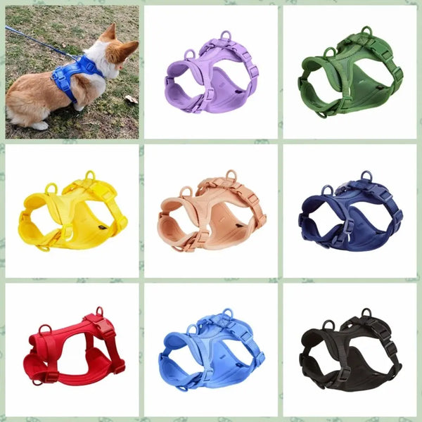 A collection of various colored reflective dog harnesses and vests for dogs.