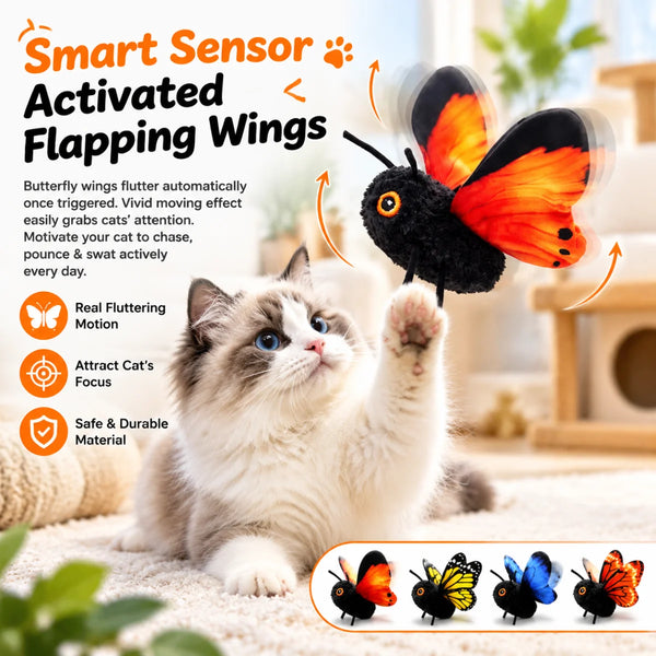 A fluffy white cat interacts with a black and orange butterfly toy that activates flapping wings.