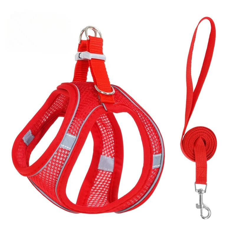 Red reflective no-pull dog harness with leash shown against a white background.