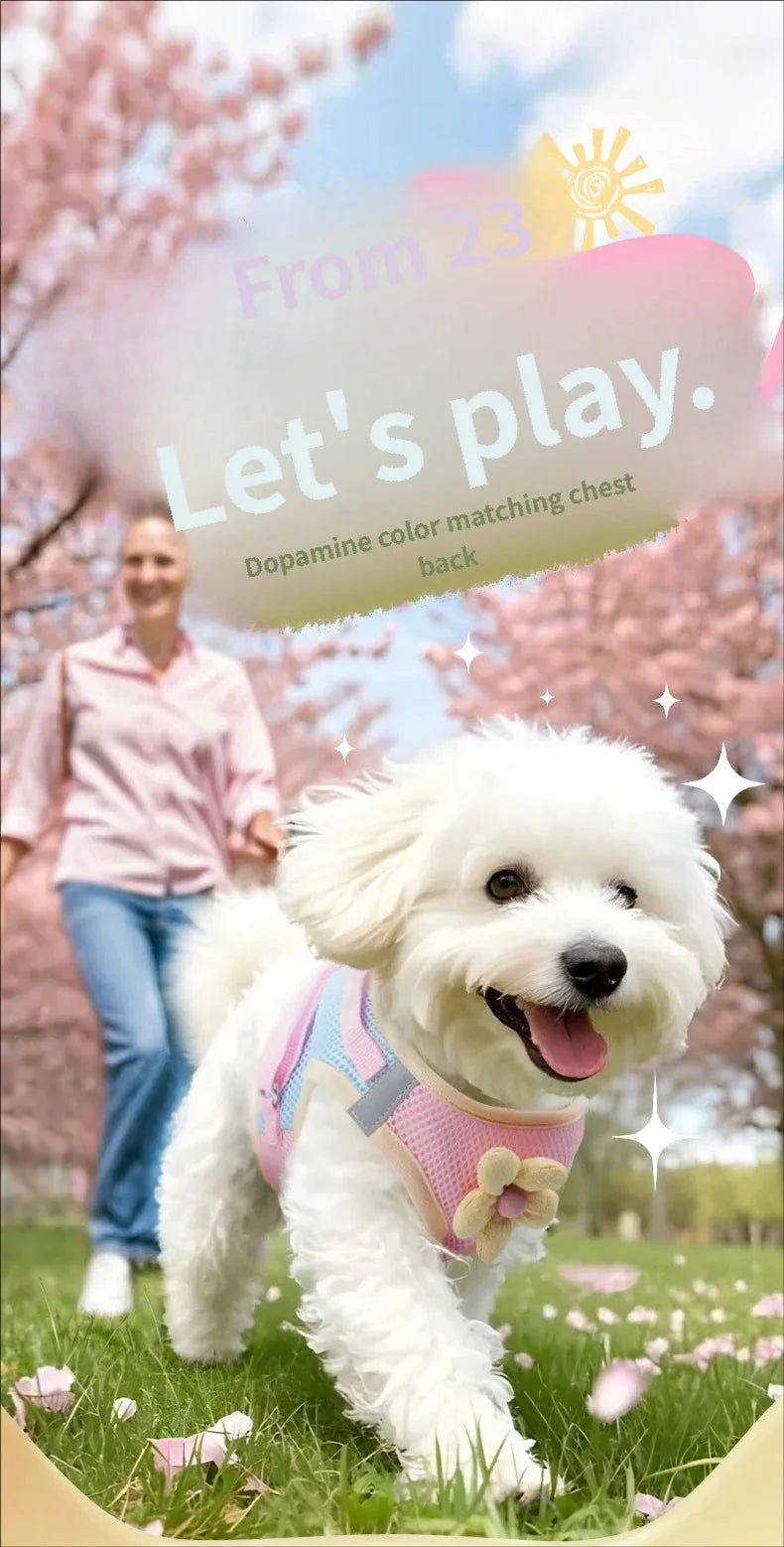 A white dog is smiling outdoors in a pink and green harness with a leash, set against a backdrop of pink blossoms.