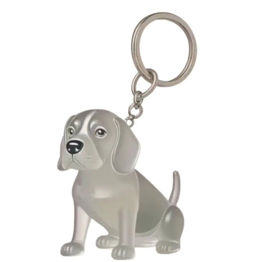 Pet Hair Storage Keychain – Transparent Dog & Cat Fur Keepsake Pendant