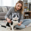 A woman is holding a transparent grooming hood for a cat on a light-colored rug.