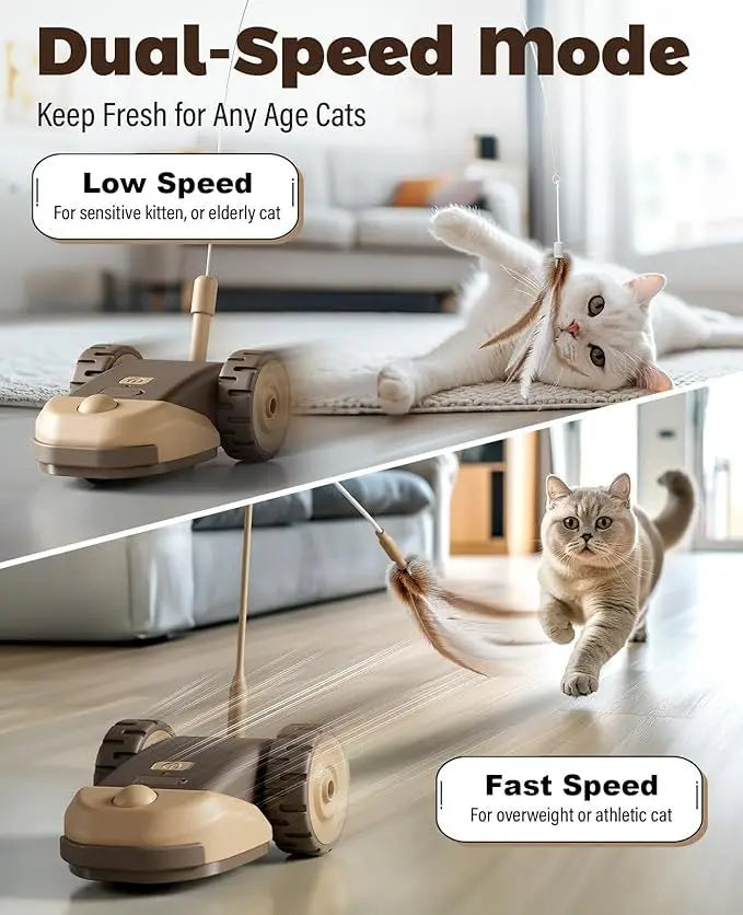 Dual-speed mode pet grooming tool showing low and fast speed settings for cats