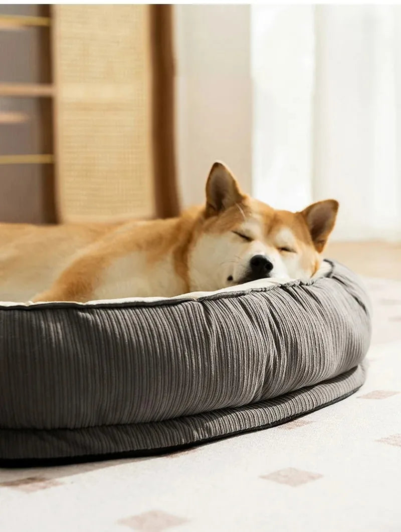 Litière respirante pour chiens et chats