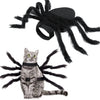Halloween Spider Costume for Small Dogs and Cats