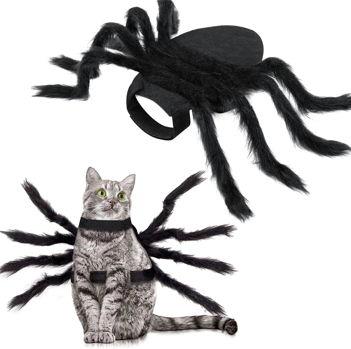 Halloween Spider Costume for Small Dogs and Cats