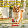 A happy dog is playing with a red and blue ball toy on the grass.