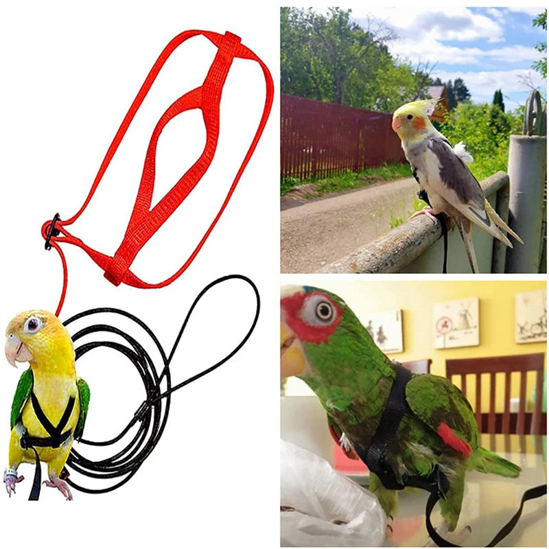 Nylon Bird Training Rope Harness Leash - Anti-Bite Parrot