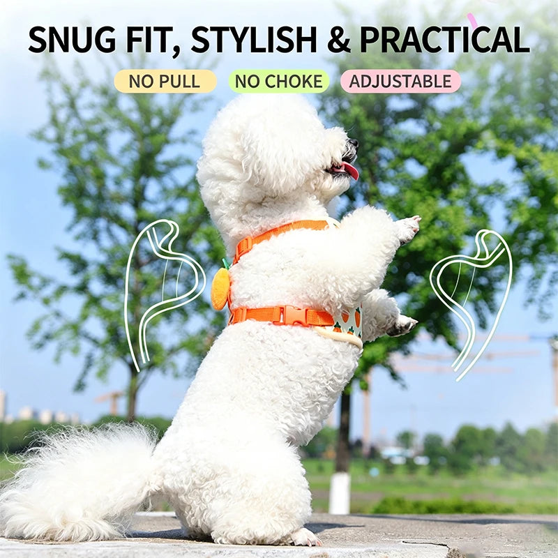 Strawberry Print Dog Harness and Leash Set